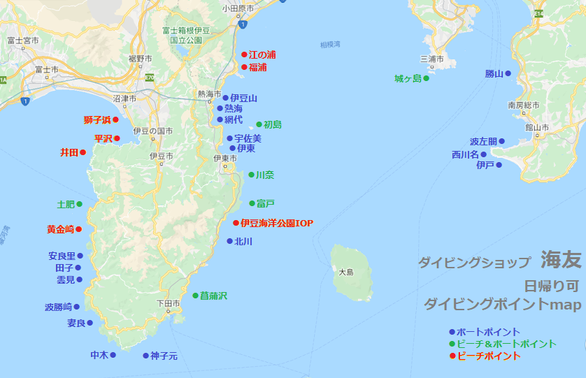 ダイビングスポット紹介 伊豆半島の送迎付き日帰りダイビングツアー 海友